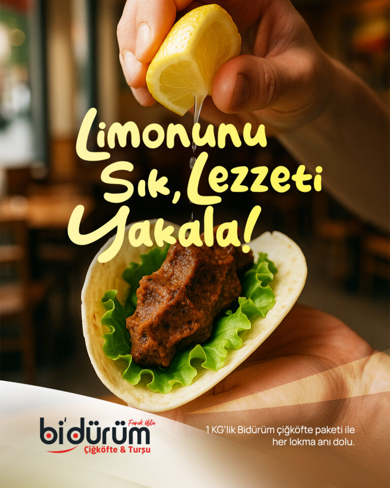 Bidürüm SM 3